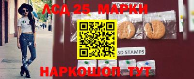 МДПВ Новозыбков