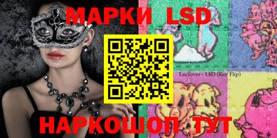 МДПВ Новозыбков