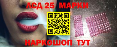 МДПВ Новозыбков