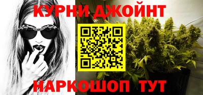 МДПВ Новозыбков