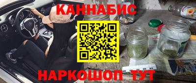 МДПВ Новозыбков