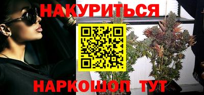 МДПВ Новозыбков